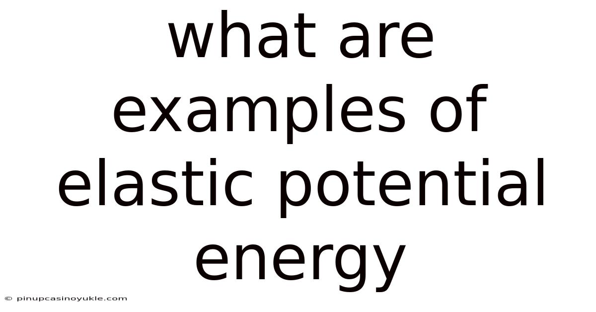 What Are Examples Of Elastic Potential Energy