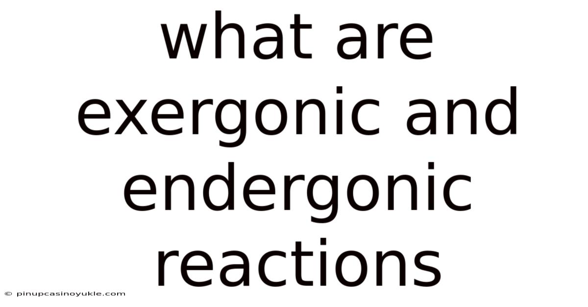 What Are Exergonic And Endergonic Reactions