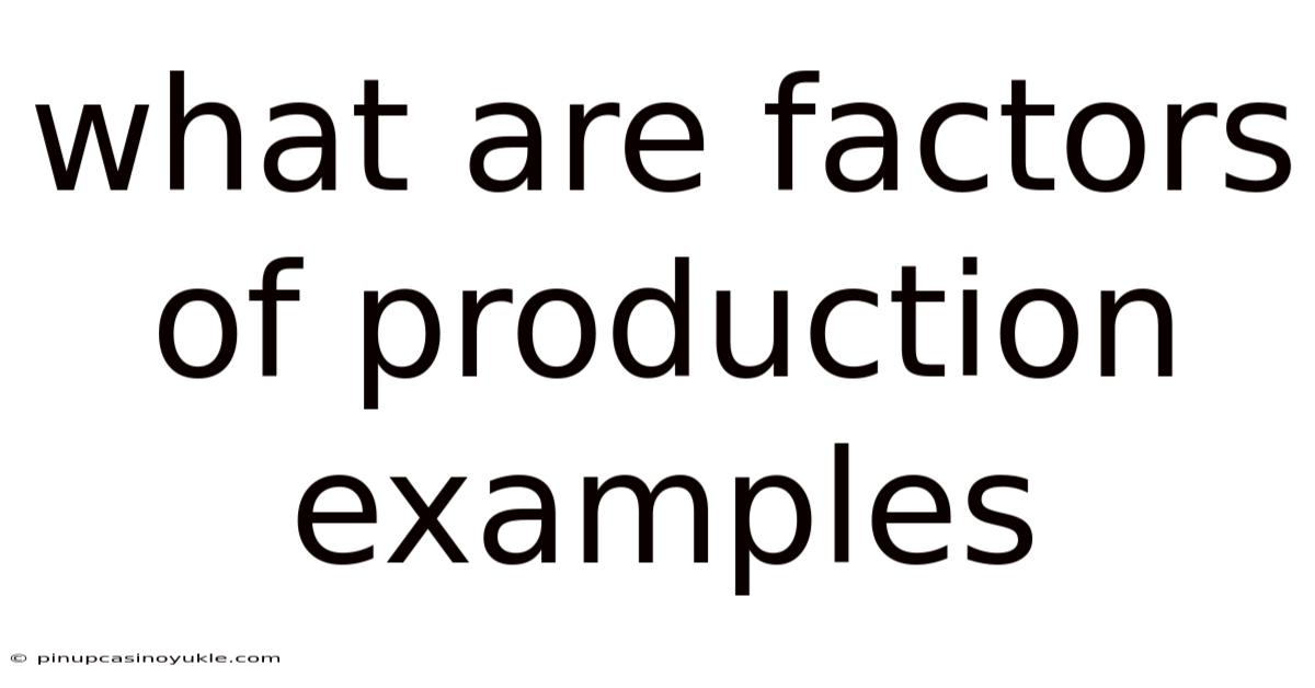 What Are Factors Of Production Examples