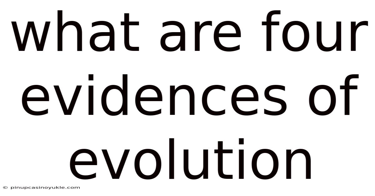 What Are Four Evidences Of Evolution