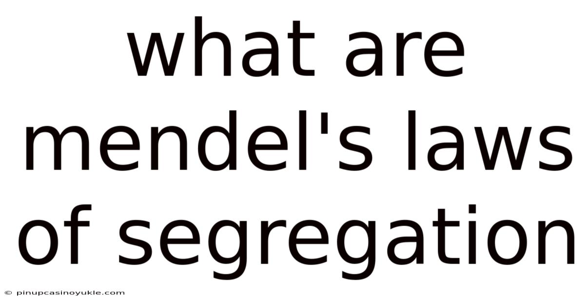 What Are Mendel's Laws Of Segregation