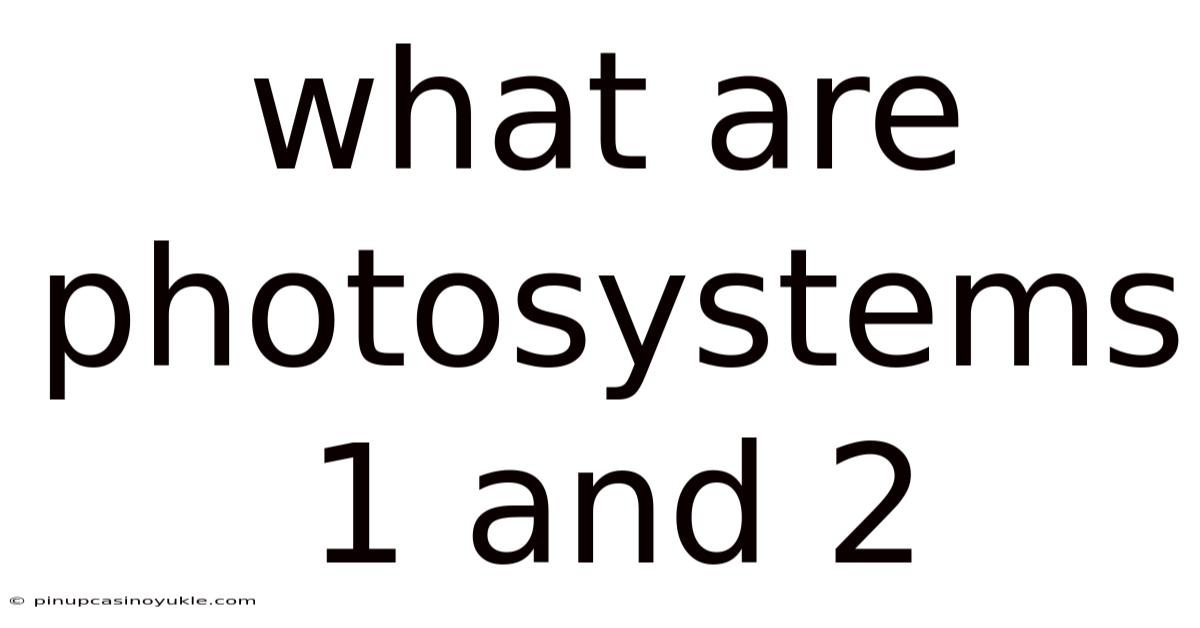 What Are Photosystems 1 And 2