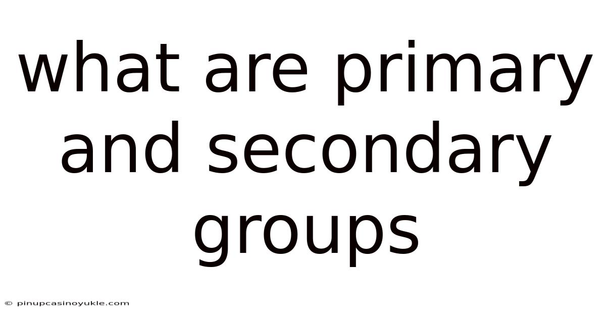 What Are Primary And Secondary Groups