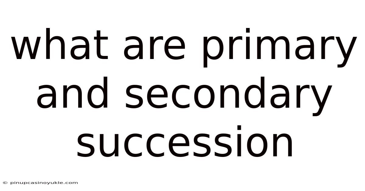What Are Primary And Secondary Succession