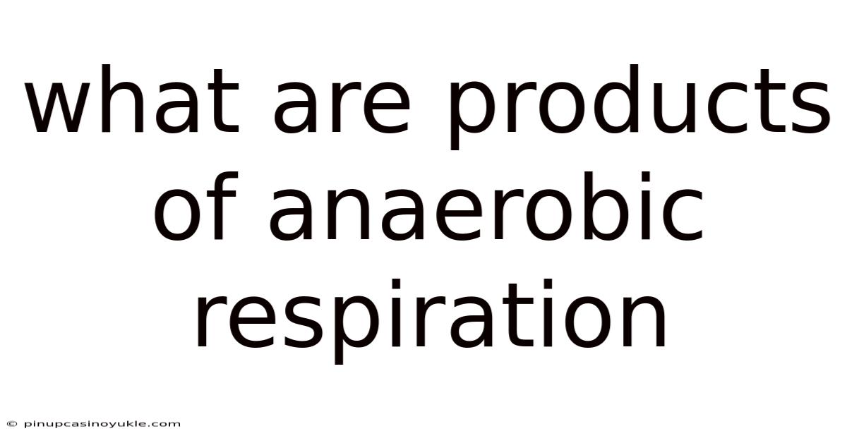 What Are Products Of Anaerobic Respiration