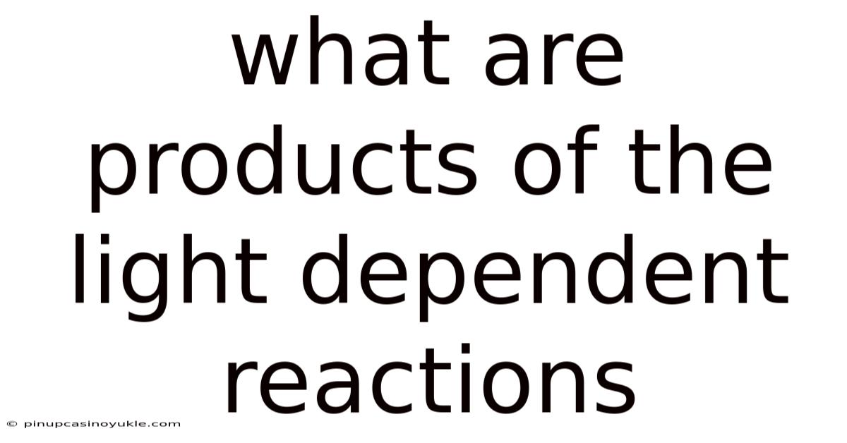 What Are Products Of The Light Dependent Reactions
