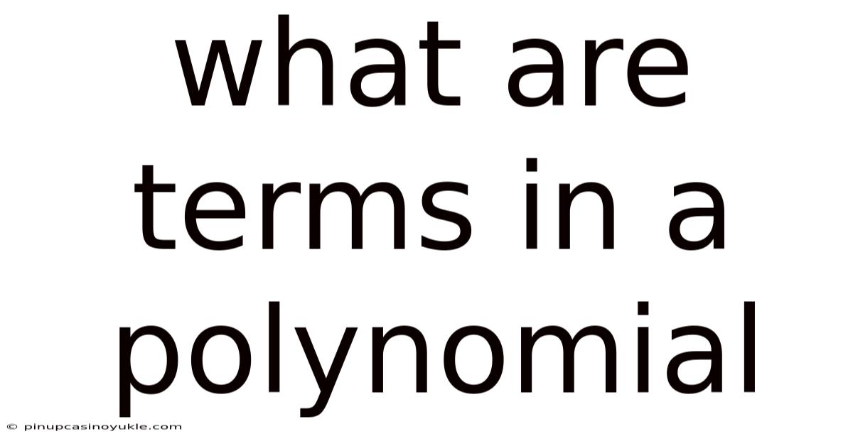 What Are Terms In A Polynomial