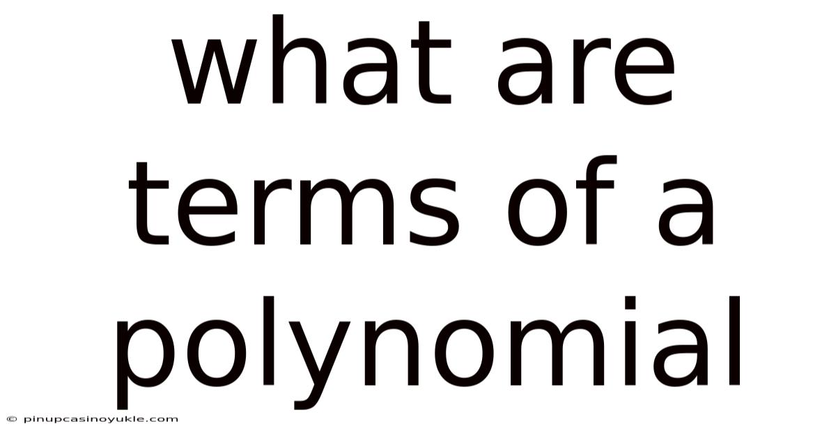 What Are Terms Of A Polynomial