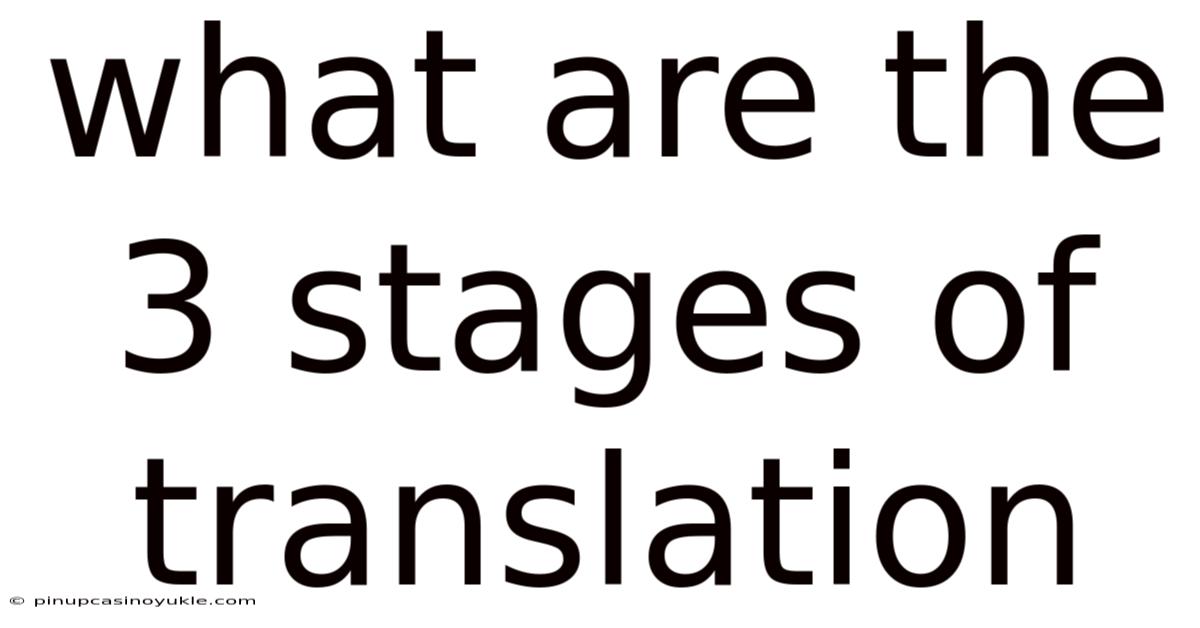 What Are The 3 Stages Of Translation