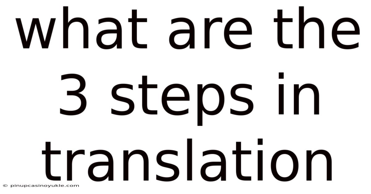 What Are The 3 Steps In Translation
