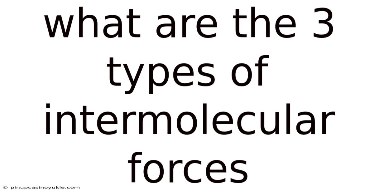What Are The 3 Types Of Intermolecular Forces