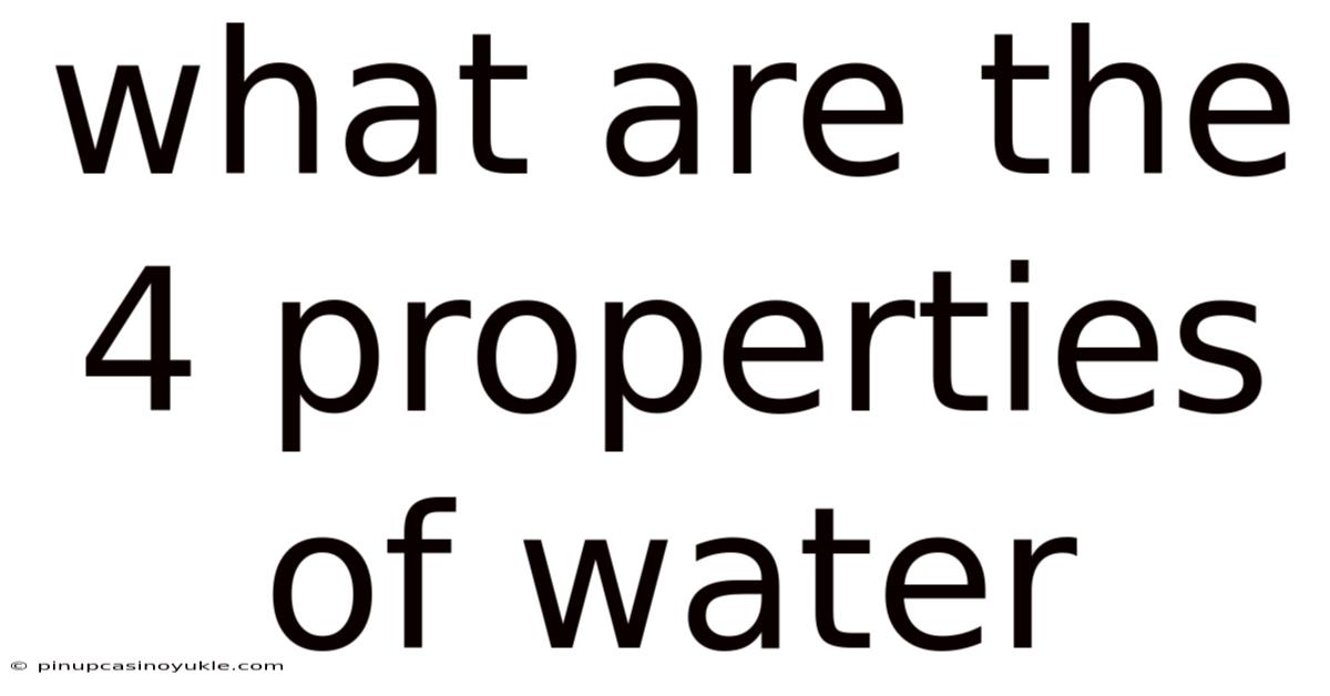 What Are The 4 Properties Of Water