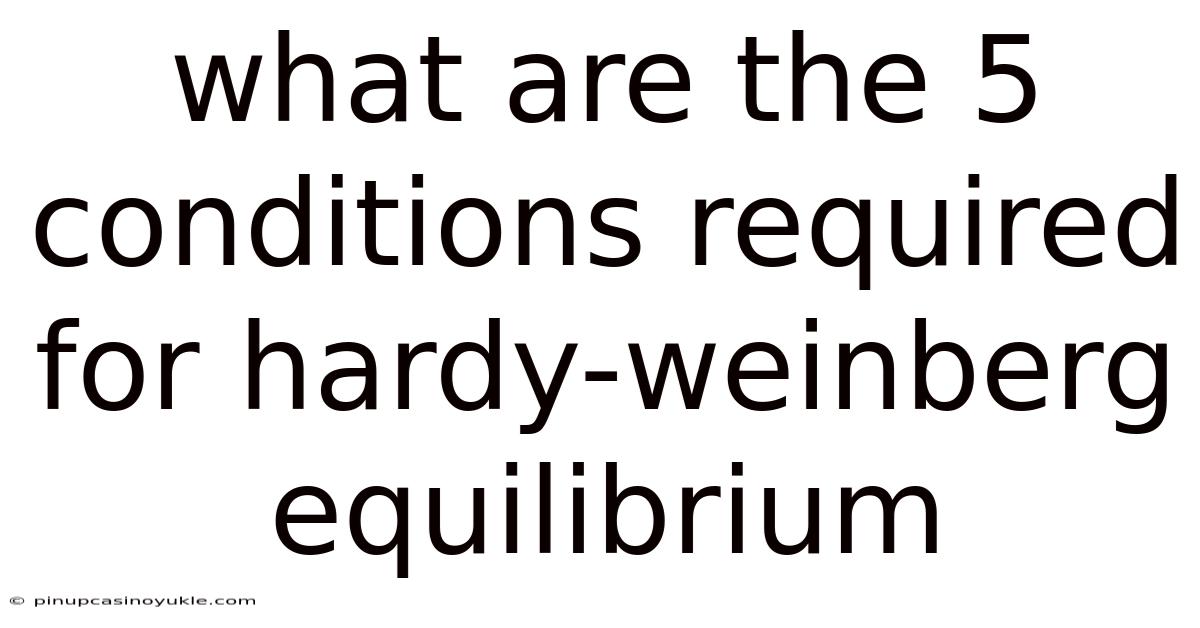 What Are The 5 Conditions Required For Hardy-weinberg Equilibrium