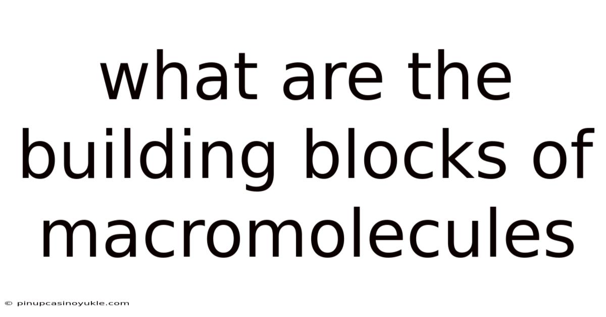 What Are The Building Blocks Of Macromolecules