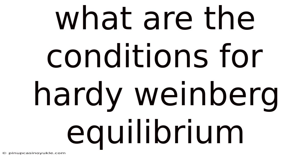 What Are The Conditions For Hardy Weinberg Equilibrium