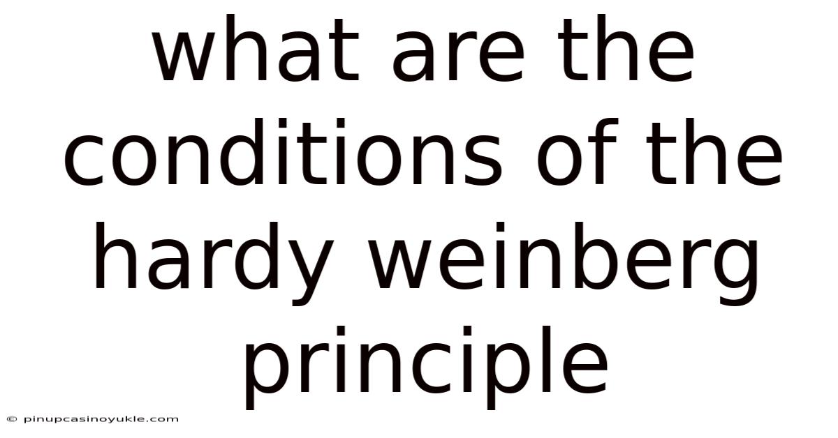 What Are The Conditions Of The Hardy Weinberg Principle