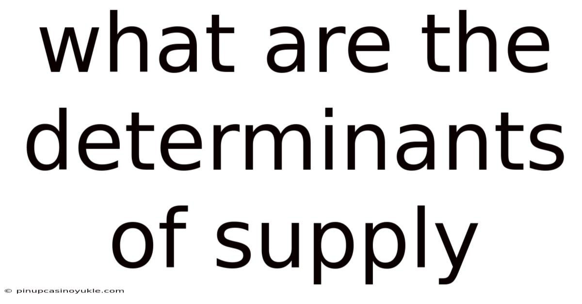 What Are The Determinants Of Supply