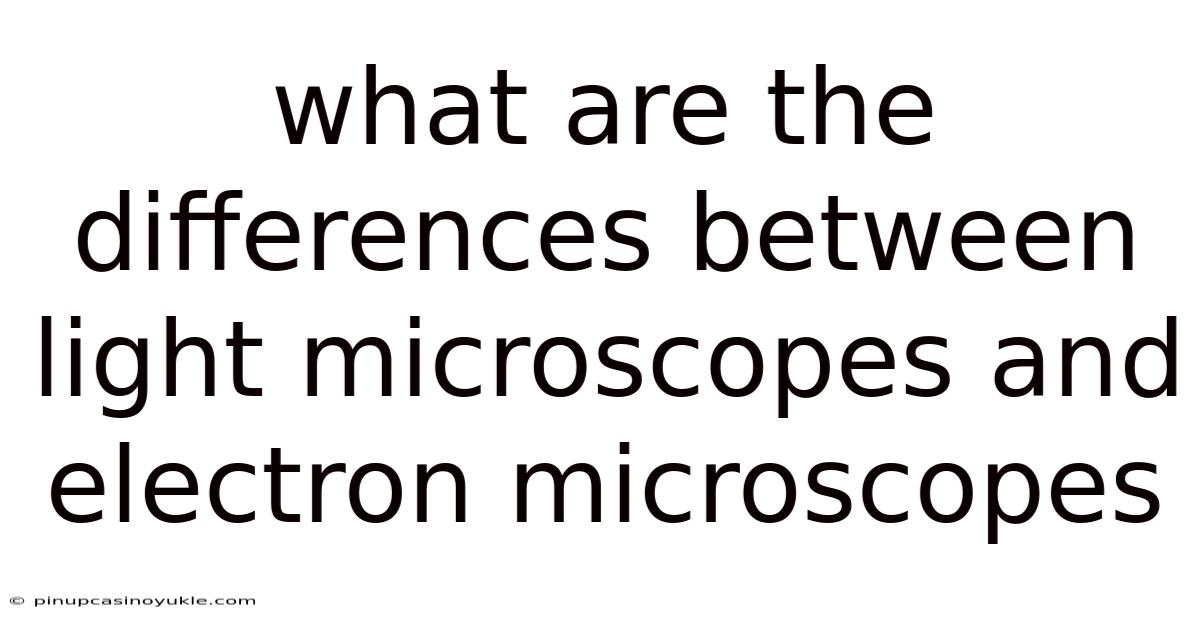 What Are The Differences Between Light Microscopes And Electron Microscopes