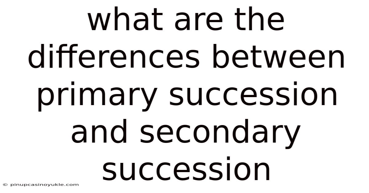 What Are The Differences Between Primary Succession And Secondary Succession
