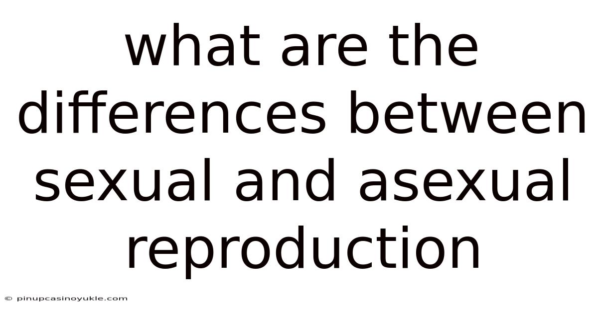 What Are The Differences Between Sexual And Asexual Reproduction