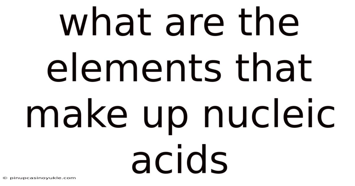 What Are The Elements That Make Up Nucleic Acids
