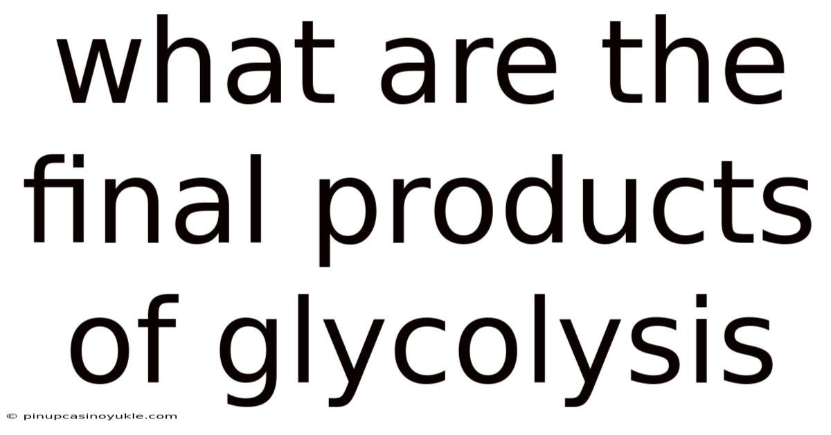 What Are The Final Products Of Glycolysis