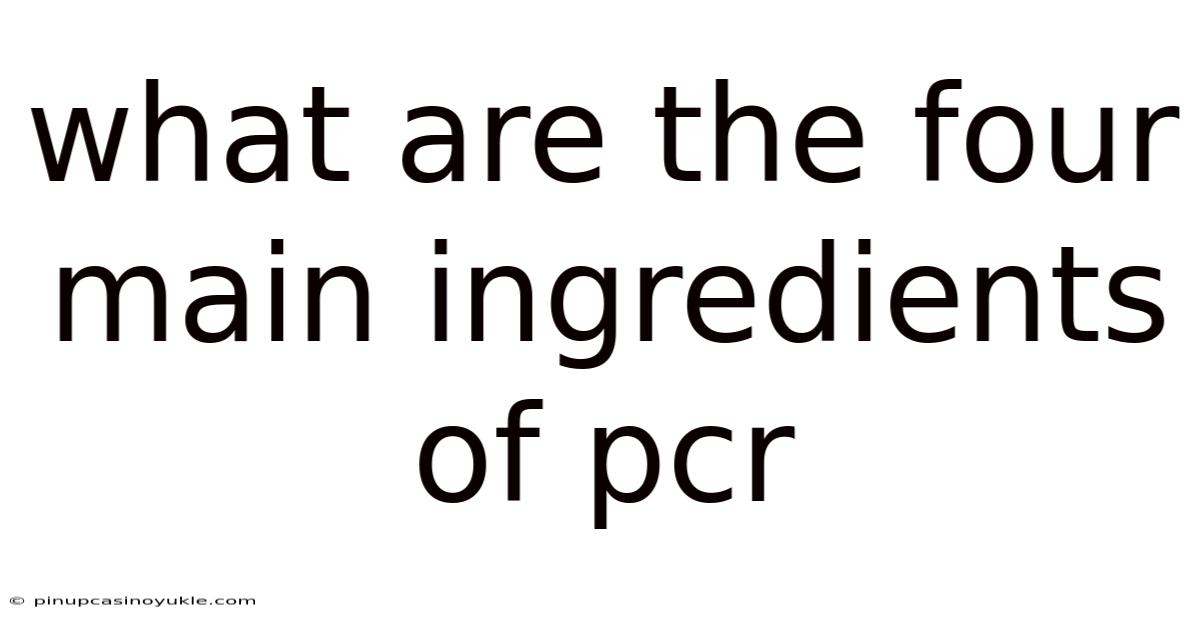 What Are The Four Main Ingredients Of Pcr