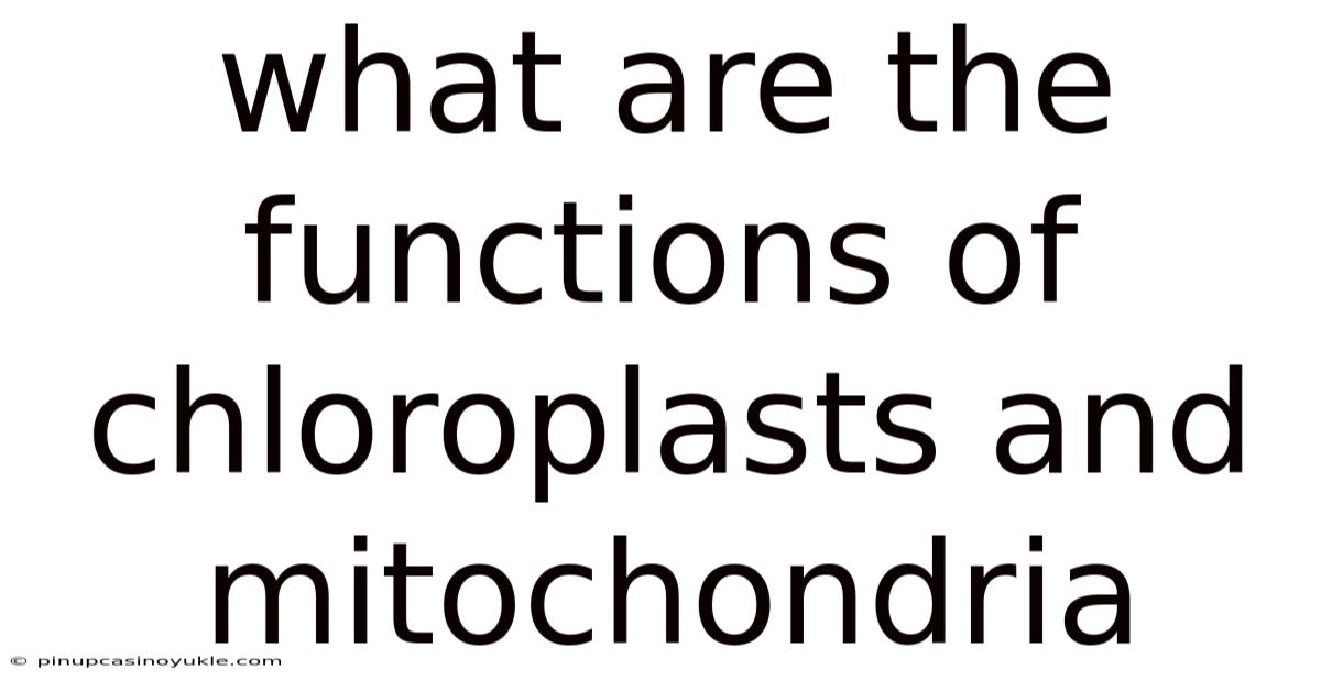 What Are The Functions Of Chloroplasts And Mitochondria