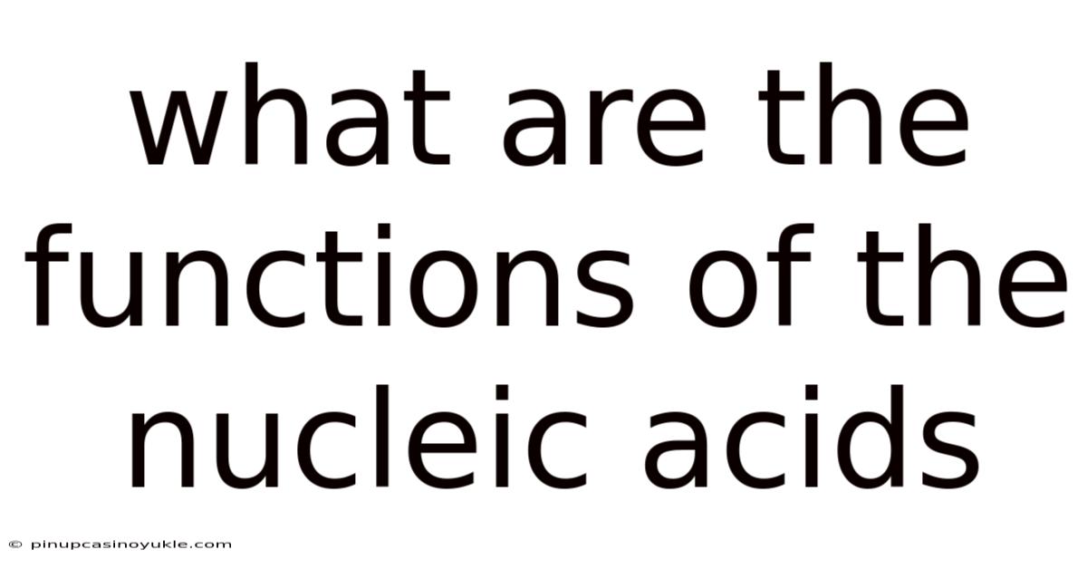 What Are The Functions Of The Nucleic Acids