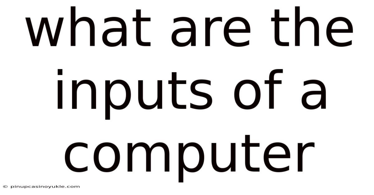 What Are The Inputs Of A Computer