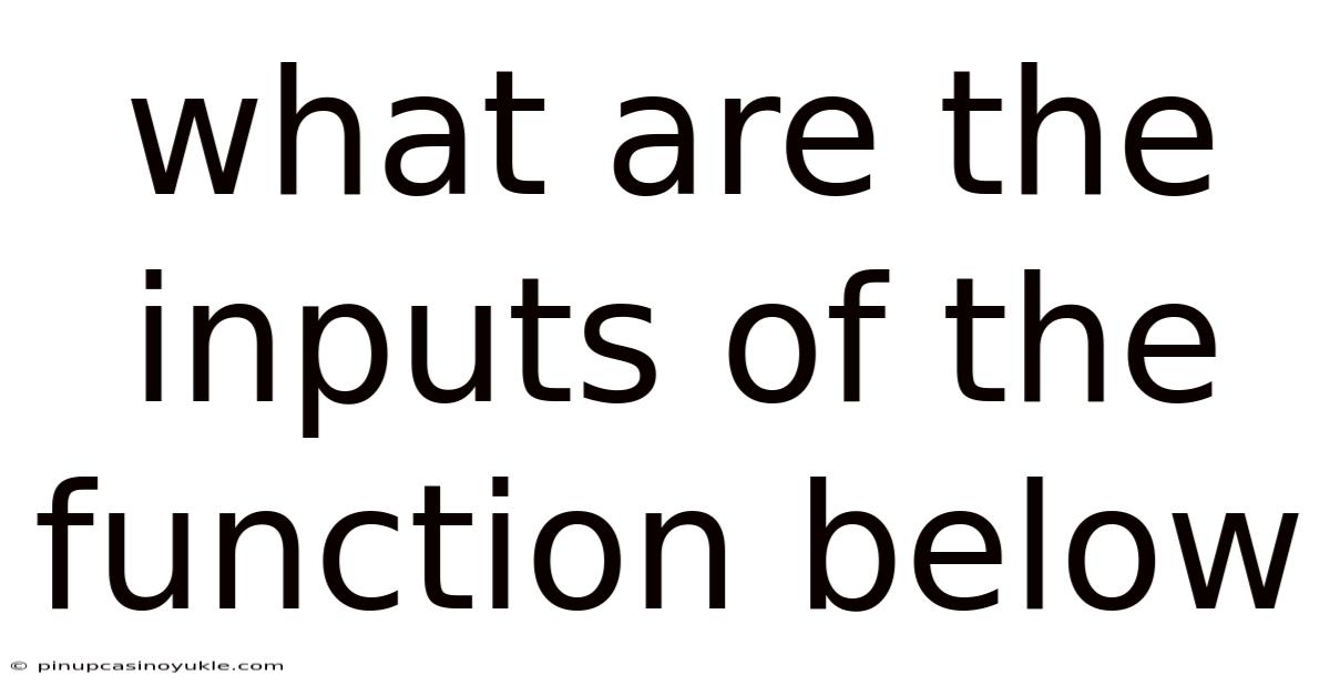 What Are The Inputs Of The Function Below