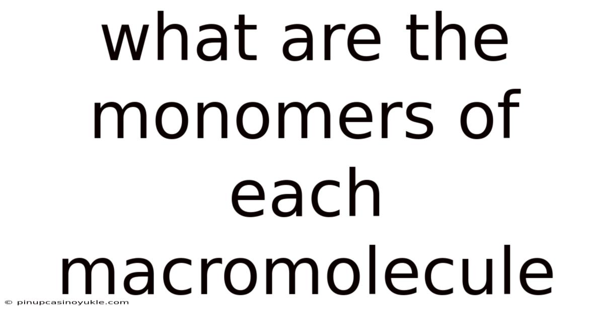 What Are The Monomers Of Each Macromolecule