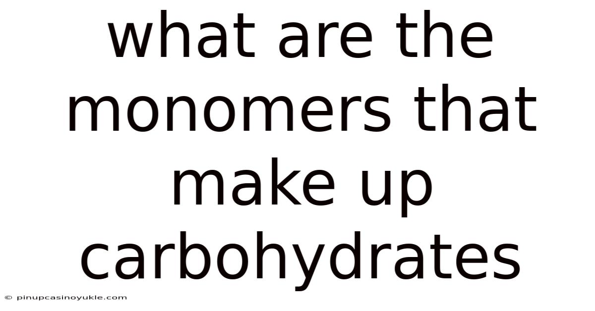 What Are The Monomers That Make Up Carbohydrates