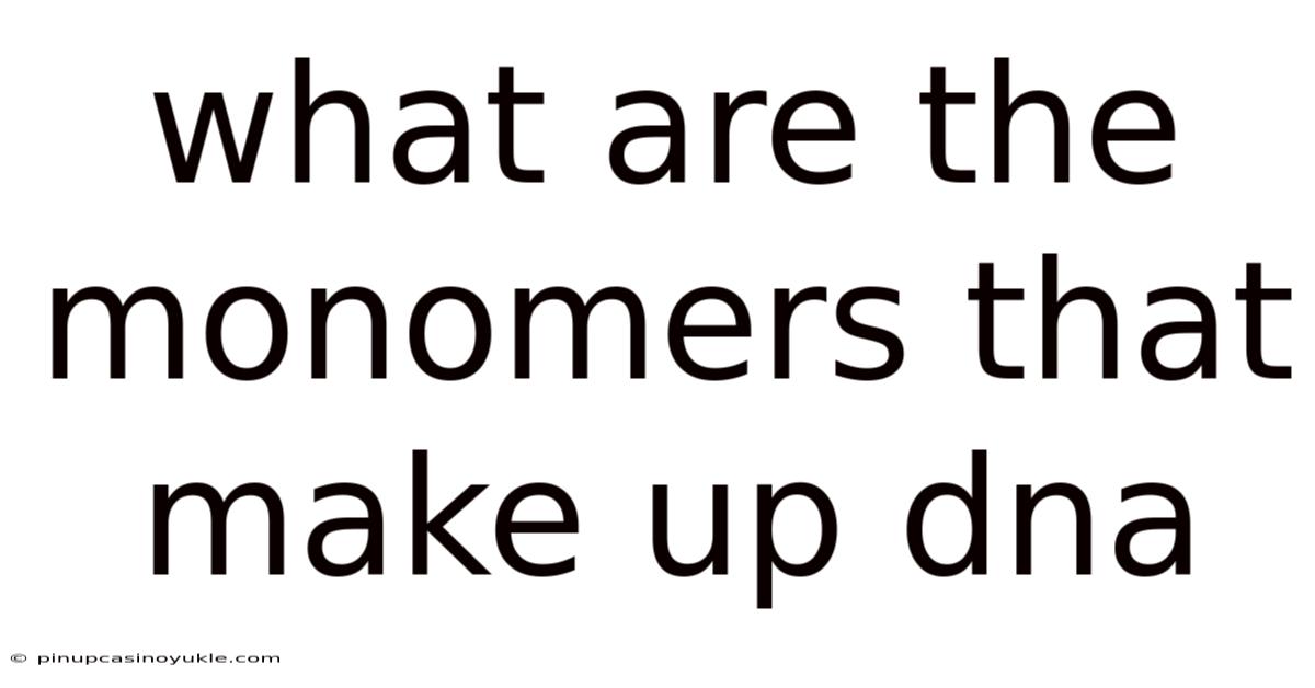 What Are The Monomers That Make Up Dna