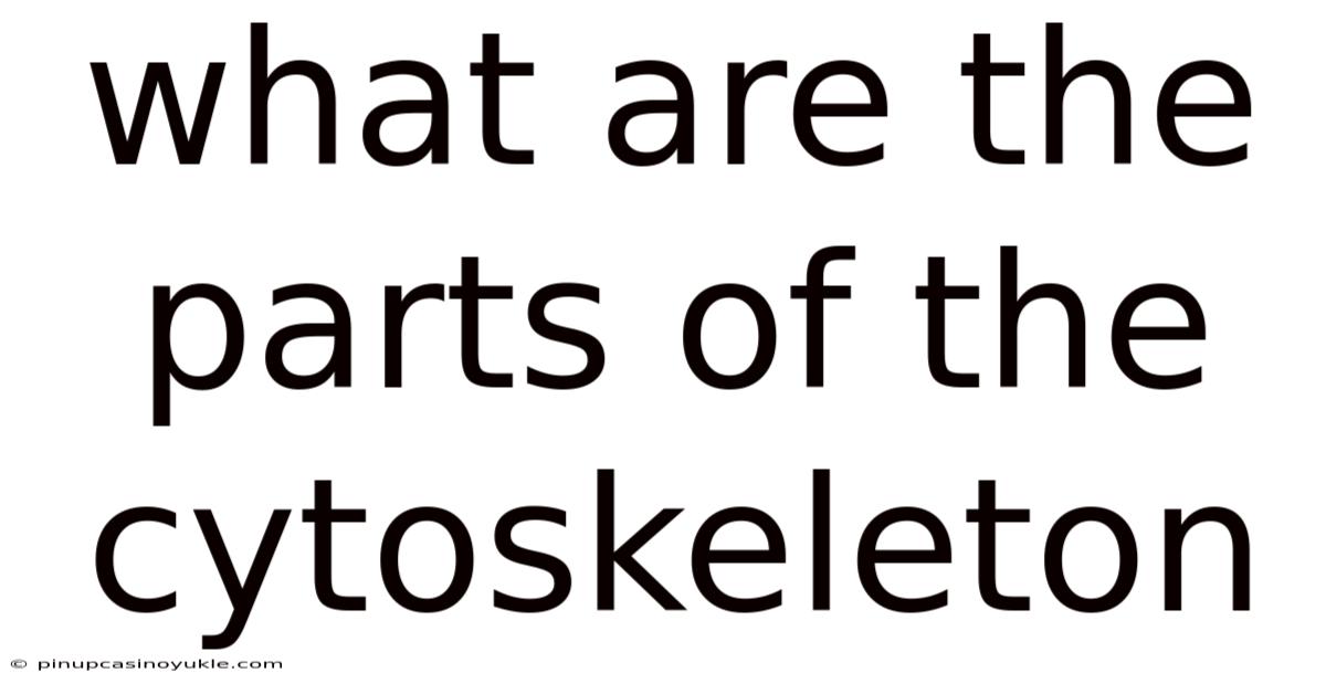 What Are The Parts Of The Cytoskeleton