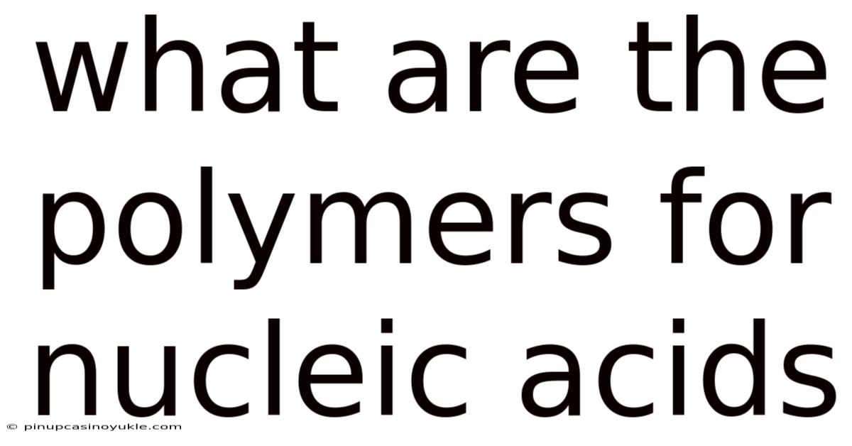 What Are The Polymers For Nucleic Acids