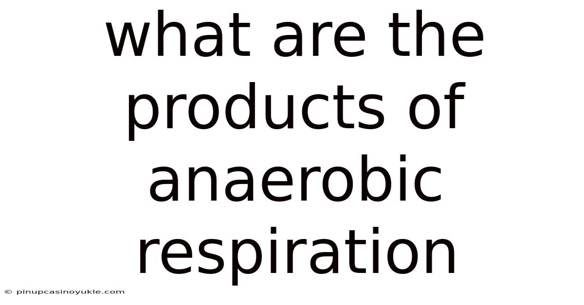 What Are The Products Of Anaerobic Respiration
