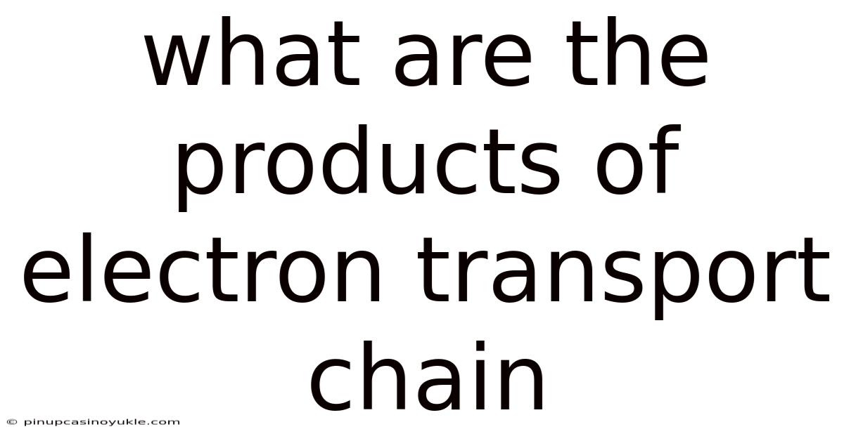 What Are The Products Of Electron Transport Chain
