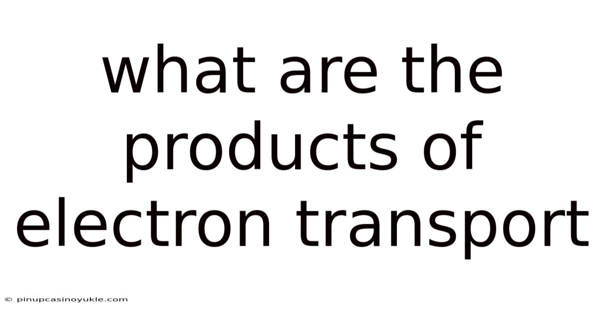 What Are The Products Of Electron Transport