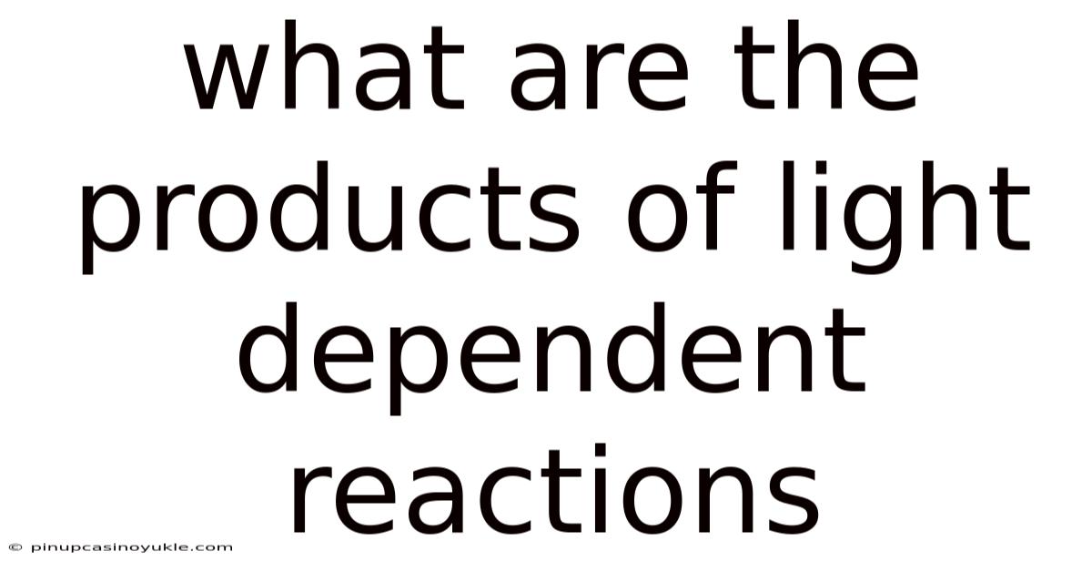 What Are The Products Of Light Dependent Reactions