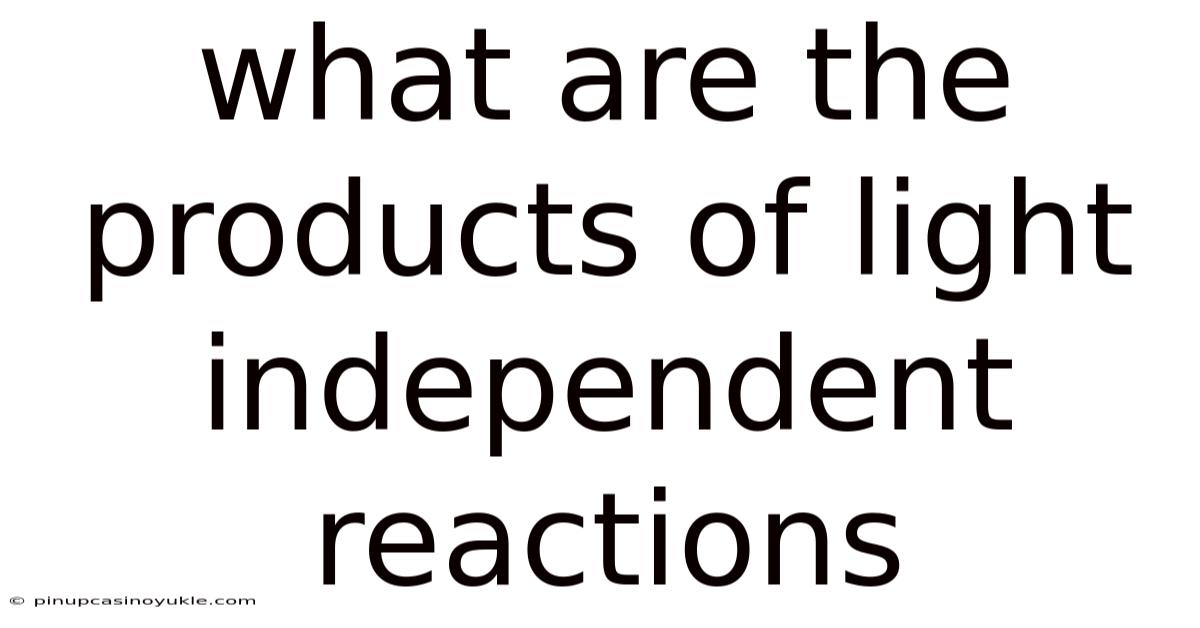 What Are The Products Of Light Independent Reactions