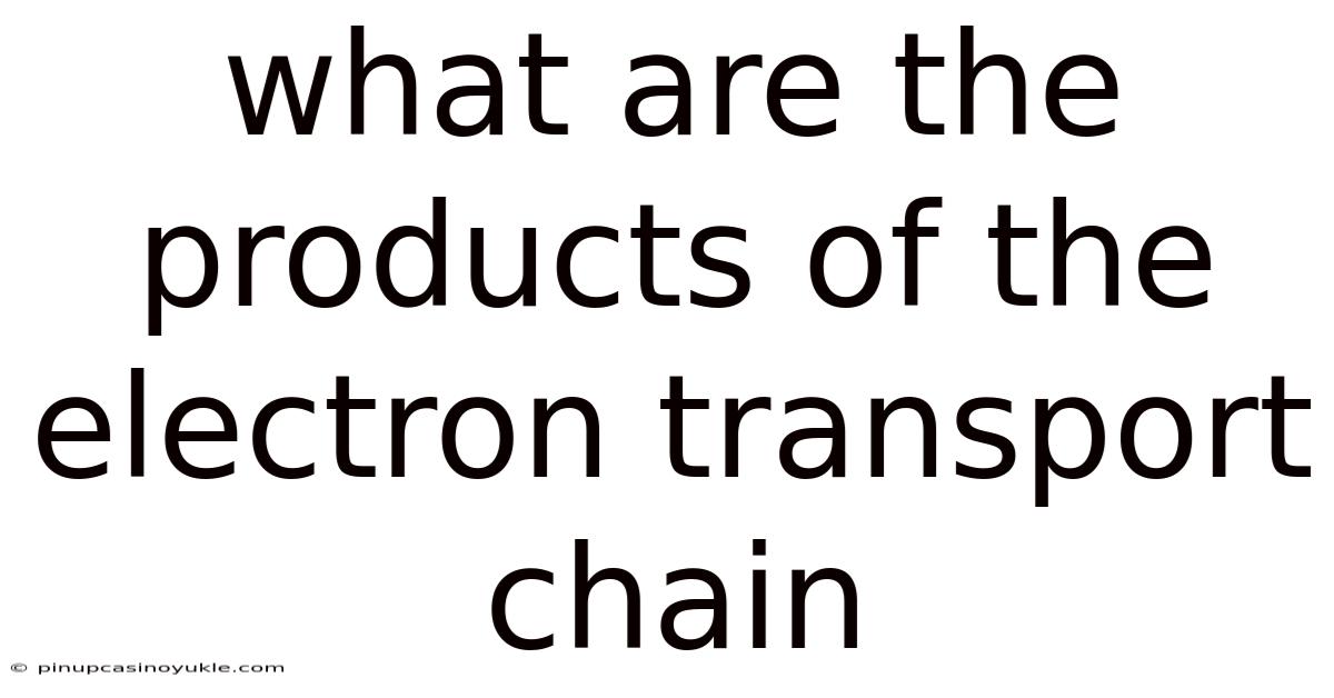 What Are The Products Of The Electron Transport Chain