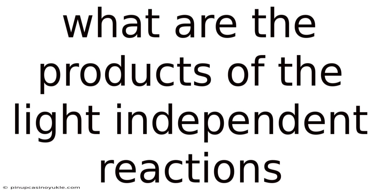 What Are The Products Of The Light Independent Reactions