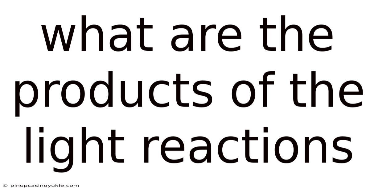 What Are The Products Of The Light Reactions