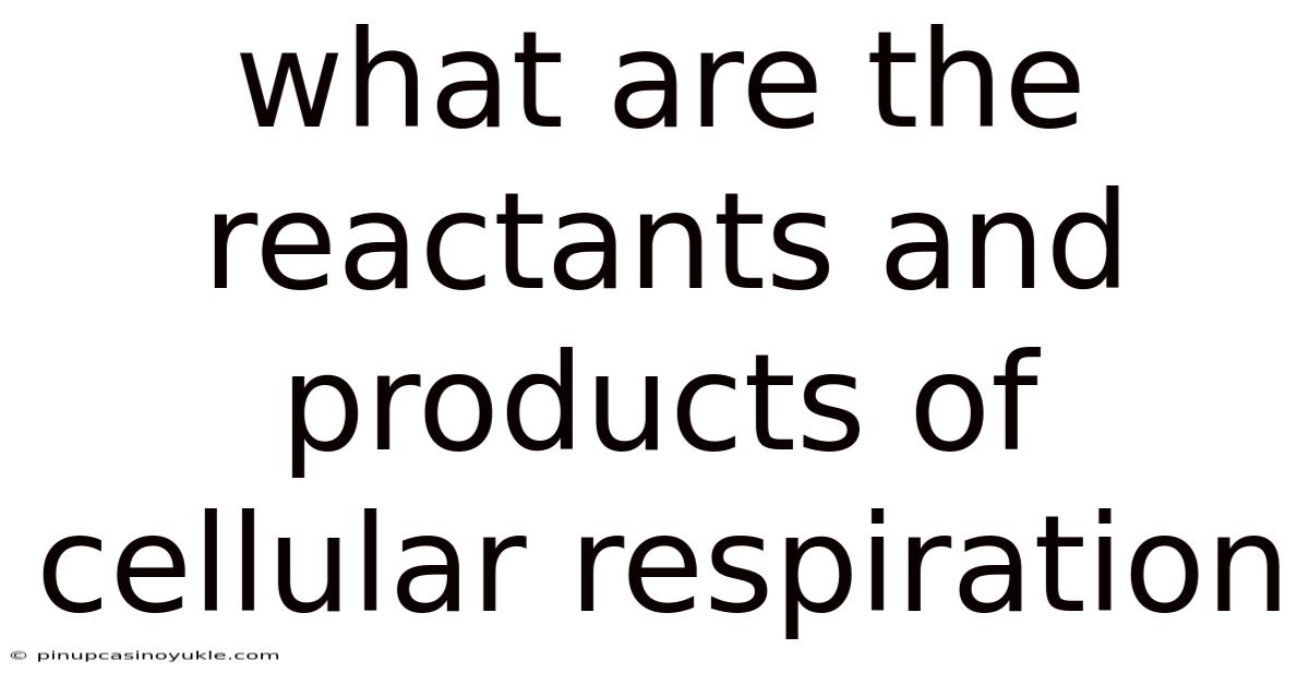 What Are The Reactants And Products Of Cellular Respiration