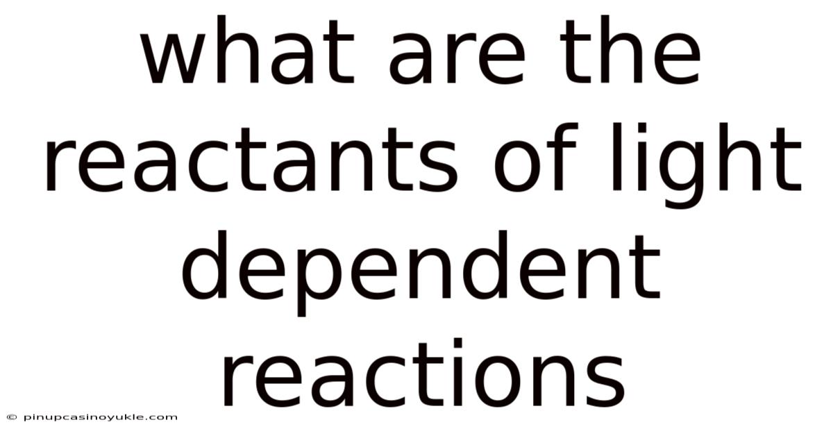 What Are The Reactants Of Light Dependent Reactions
