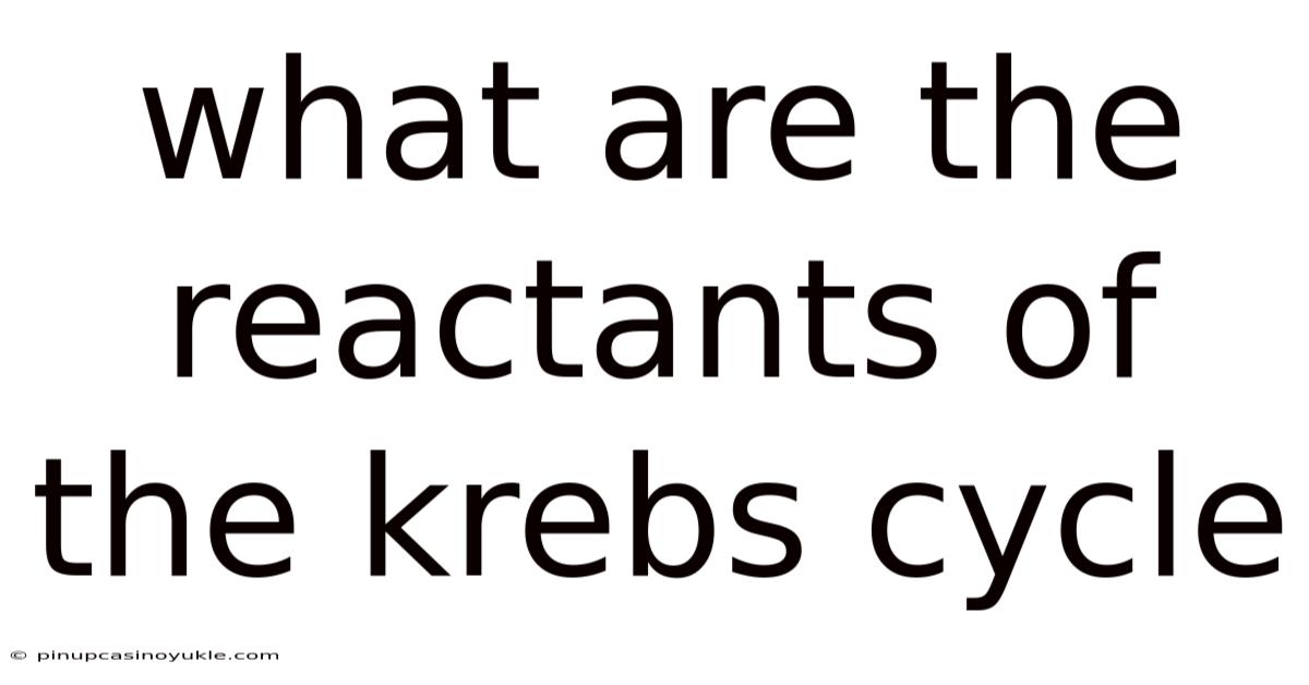 What Are The Reactants Of The Krebs Cycle