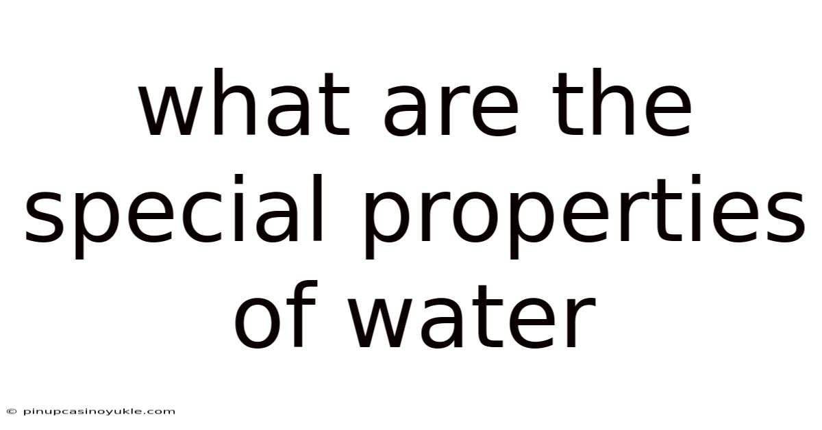 What Are The Special Properties Of Water
