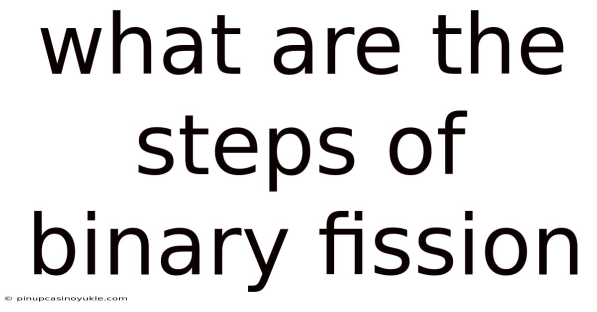 What Are The Steps Of Binary Fission