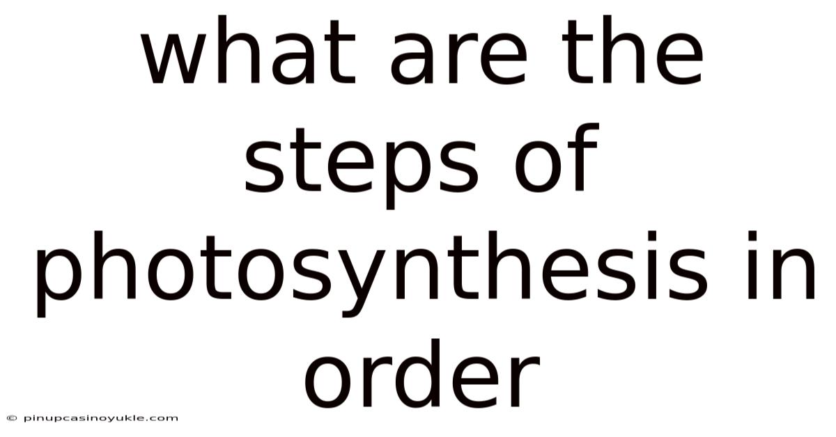 What Are The Steps Of Photosynthesis In Order